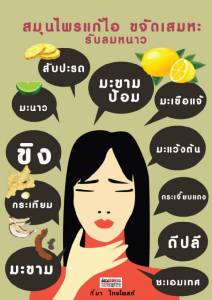 สมุนไพรแก้ไอ ขจัดเสมหะ รับลมหนาว