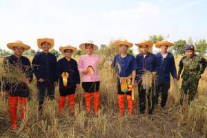ผู้ว่าฯ ชัยนาทลงนาเกี่ยวข้าวเปิดโครงการ “ดำวันแม่ เกี่ยววันพ่อ” เฉลิมพระเกียรติในหลวง-ราชินี