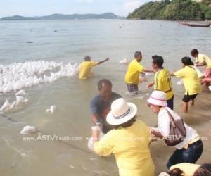 ชาวรัษฎา จ.ภูเก็ต ปล่อยพันธุ์สัตว์น้ำถวายเป็นพระราชกุศลแด่ในหลวง