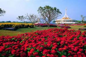 งามสะพรั่งสดใสไปกับดอกไม้นานาพันธุ์ในงาน “พรรณไม้งาม อร่ามสวนหลวง ร.9”
