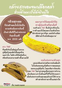 กล้วยสุกงอมจนเปลือกคล้ำ ช่วยต้านมะเร็งได้จริงหรือ