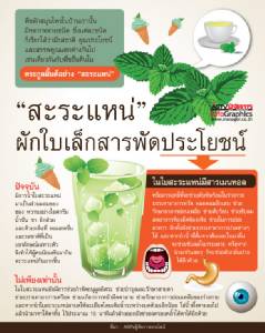 “สะระแหน่” ผักใบเล็กสารพัดประโยชน์