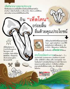 กิน“เห็ดโคน”อร่อยลิ้น อิ่มด้วยคุณประโยชน์