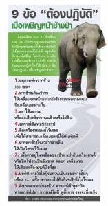 9 ข้อ “ต้องปฏิบัติ” เมื่อเผชิญหน้าช้างป่า [info]