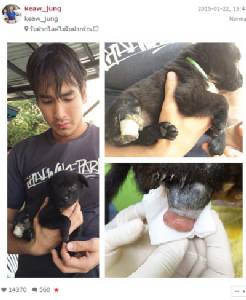 “ณเดชน์” น้ำใจงามอุปถัมภ์น้องหมาพิการ