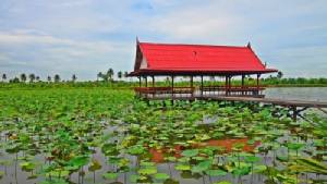 เกษตรนครปฐมเตรียมจัดงานท่องเที่ยวเชิงเกษตร “ล่องเรือชมสวนเลียบคลองมหาสวัสดิ์”