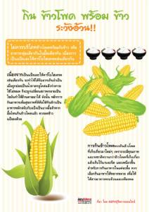 กิน “ข้าวโพด” พร้อม “ข้าว” ระวังอ้วน!!