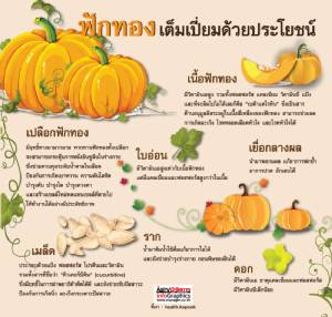 ฟักทองเต็มเปี่ยมด้วยประโยชน์