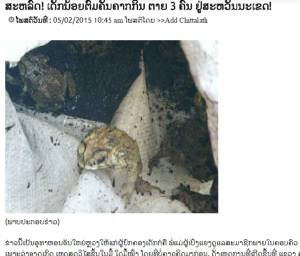 พ่อแม่ไม่อยู่บ้านต้มคางคกกินกันเองเด็กลาว 3 คนตายอนาถ