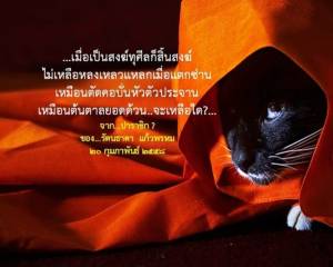 ปาราชิก? / รัตนธาดา แก้วพรหม