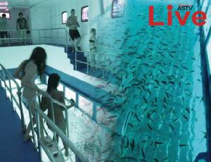 ปิดฉาก! “โลกใต้ทะเล” VIP ผิดกฎหมาย พร้อมยกเครื่องปฏิรูปทะเล