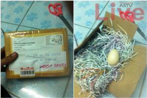ตุ๋นผ่านเน็ต! ส่งไปรษณีย์ให้ “ไข่เป็ด” แทนสินค้า