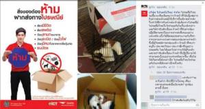 ปณท.รับยัดหนูส่ง ปณ.สุโขทัยมีจริง บอกปฏิเสธแล้ว คนส่งไม่ยอม