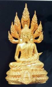 ชวนบูชาพระนาคปรก “สธ”