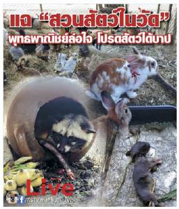 แฉ! “สวนสัตว์ในวัด” พุทธพาณิชย์ล่อใจ โปรดสัตว์ได้บาป