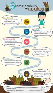 6 ข้อควรรู้ ก่อนกินยาสมุนไพร