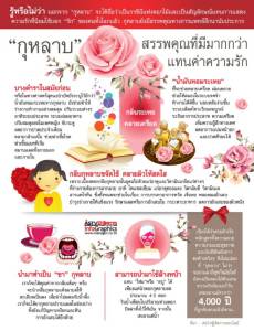 “กุหลาบ” สรรพคุณที่มีมากกว่าแทนค่าความรัก