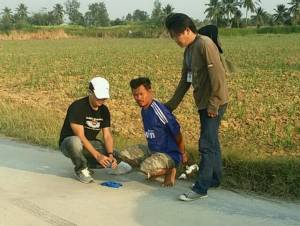 ตร.สุพรรณฯ จับนักค้ายาบ้าหนุ่มเมืองกาญจน์ลอบขนยานรกขายในเมืองขุนแผน