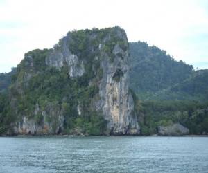 เปิดสัมปทานเก็บ “รังนกอีแอ่น” ใน จ.ตรัง ส่อแววเหลว ไร้ผู้สนใจเข้าประมูล