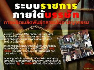 วิสาหกิจชุมชนเมล็ดพันธุ์เชียงใหม่โวย จนท.คุกคามนำ ตร.-ทหารควงอาวุธบุกค้นไร้ความผิด