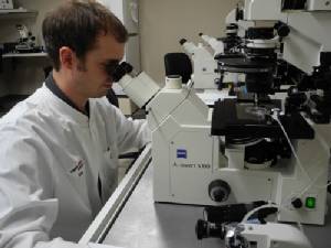 Citizen scientists help NASA pinpoint more asteroids