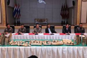 ขยายผลจับกุมนายทุนเครือข่ายค้างาช้างข้ามชาติ