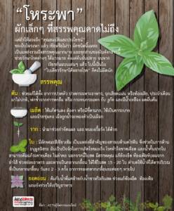 “โหระพา” ผักเล็กๆ ที่สรรพคุณคาดไม่ถึง