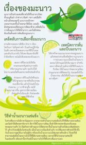 เรื่องของมะนาว