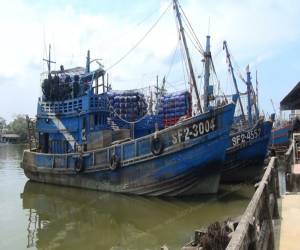 เรือประมงนครศรีฯ หยุดออกทะเลหลังเจอวิกฤต คาดใบเหลือง EU ทำสัตว์น้ำหายจากระบบ 1 ล้านตัน