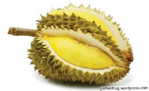 จงกินแต่พอดี ทุเรียนนี้มีทั้งคุณและโทษ