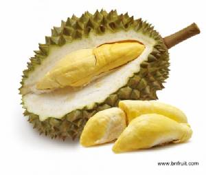 รู้ยังว่า ตีห้าถึงเจ็ดโมงเช้า คือเวลากินทุเรียนที่เหมาะที่สุด