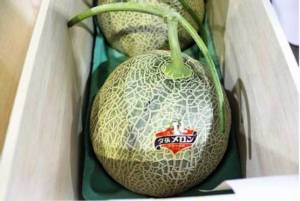 แคนตาลูปญี่ปุ่นลดราคาแล้ว เหลือแค่ 380,000 บาท