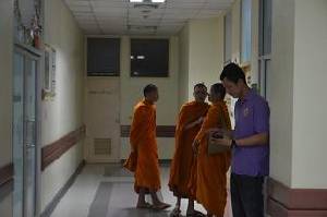 เสือวัดป่าหลวงตามหาบัว  ตะปบ-กัดแขนเจ้าอาวาสกระดูกแตก