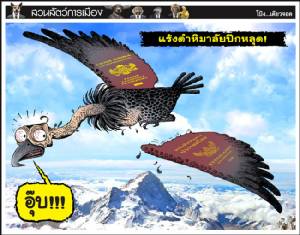 แร้งดำหิมาลัยปีกหลุด!