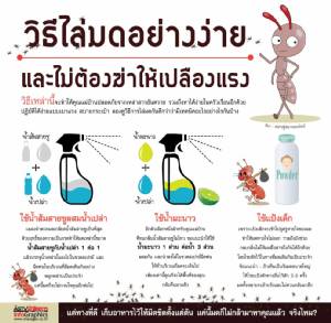 วิธีไล่มดอย่างง่าย และไม่ต้องฆ่าให้เปลืองแรง