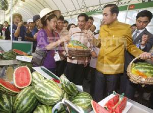 ส่งท้าย “ถนนสายวัฒนธรรม” ทำเนียบฯ นักชอปนับพัน เดือนหน้าจัดไม้ดอก-ปลาสวยงาม