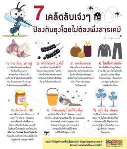 7 เคล็ดลับเจ๋งๆ ป้องกันยุงโดยไม่ต้องพึ่งสารเคมี