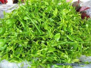 เคล็ดลับ กินพิชิตโรค "กรดไหลย้อน"