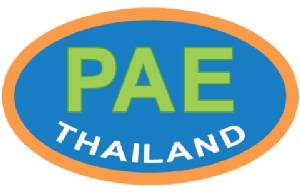 นักลงทุนติง “พีเออี” เพิ่มทุนใหม่ราคาแพงโหด ธุรกิจขาลง