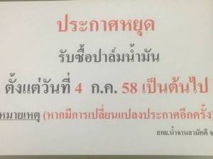 โรงสกัดปาล์มน้ำมันกระบี่หยุดรับซื้อปาล์มแล้ว หลังระบายน้ำมันปาล์มไม่ได้
