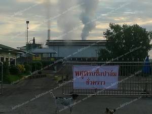 ชาวสวนกระบี่ส่อเค้าเดือดร้อนหนักโรงงานหยุดรับซื้อผลผลิต