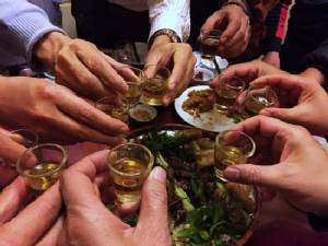Pregnant drinking common in Ireland, England, Australasia: study