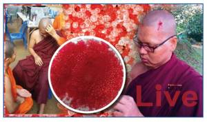 ไม่เชื่อต้องลบหลู่ “เลือดพระธาตุ” ที่ชวนสงสัย!
