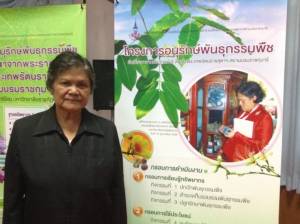ชวนปลูกป่า 7 ระดับ 5 ประโยชน์ เชื่อทำได้ไม่มีใครเผา-ลดหมอกควัน