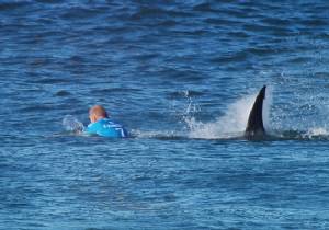 Surf pro fights off S.Africa shark attack in shock TV footage
