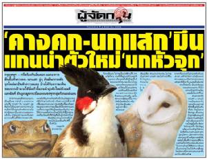 ‘คางคก – นกแสก’ มึน แกนนำตัวใหม่ ‘นกหัวจุก’