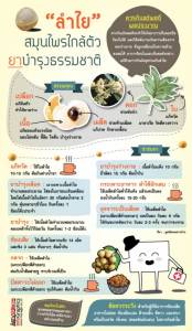 “ลำไย” สมุนไพรใกล้ตัว ยาบำรุงธรรมชาติ