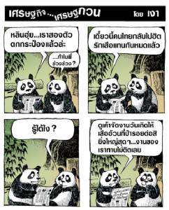 ระวังแพนดาน้อยใจเสืออ้วนป่ารอยต่อนะ