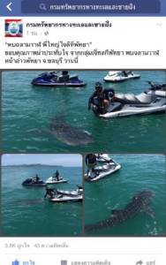 ชาวเน็ตฮือฮา “ยักษ์ใหญ่ใจดี” โผล่ทะเลพัทยา