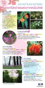 งดงามท่ามกลางสายฝน ชมดอกไม้หน้าฝนแห่งภาคเหนือ 2558